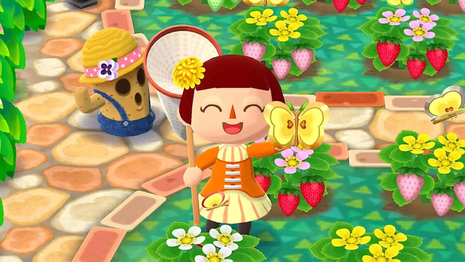 Pocket Camp Complete